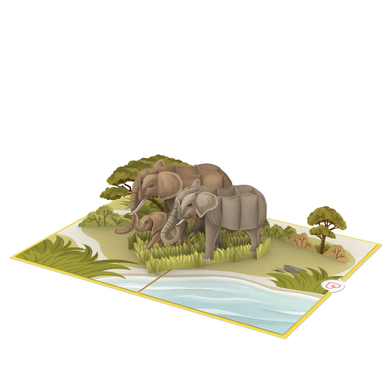 Elefanten Pop-Up Karte